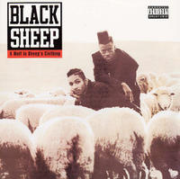 Black Sheep 