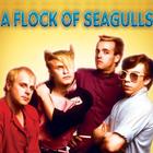 A Flock Of Seagulls 
