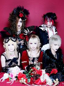 HIZAKI grace project 