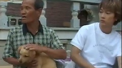 爱犬日记之小黄的旅行