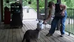 The Hillbilly Slide And One Mad Coon