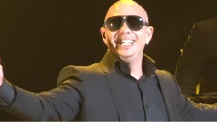 Pitbull