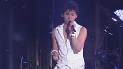 Tohoshinki 4th Live Tour 2009