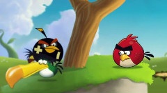 Angry Birds Presents Summer Pignic