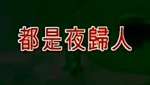 许美静-都是夜归人