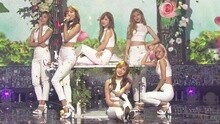 Apink - Attracted To U 现场