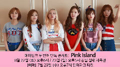 Apink 2nd Concert < Pink Island >宣传视频