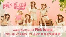 Apink 2nd Concert Pink Island 宣传片