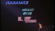 MEDLEY:情已逝/蓝雨/爱得比你深/头发乱了