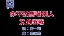 你不该想着别人又想着我