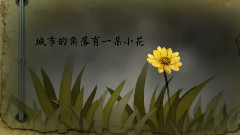 无名花