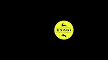 USAGI - Usagi-Fumaina Story-