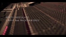 SPICY CHOCOLATE - Shiawase