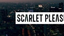 Scarlet Pleasure - The Strip