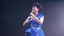 万水千山纵横 叶丽仪45年香港情演唱会 现场版