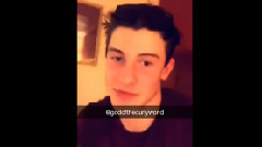 Shawn Mendes Snapchat Story