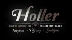 Holler 现场混合