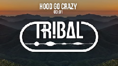 Hood Go Crazy(Remix)