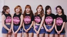 Apink Diary2 Special Japan tour