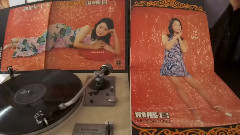 少年爱姑娘(1973年香港丽风唱片黑胶版)