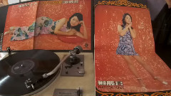 路边的野花不要采(1973年香港丽风唱片黑胶版)