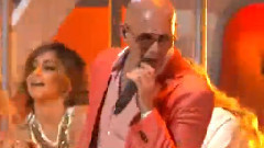 Pitbull - Wild Wild Love