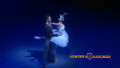 Swan Lake