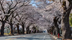 日本福岛风景 时光流逝