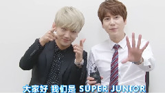 Super Junior 十周年歌友会 ID