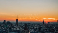 维也纳的味道 A Taste of Vienna