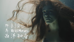 Birdy - Wild Horses(野马)