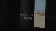 Howling At The Moon