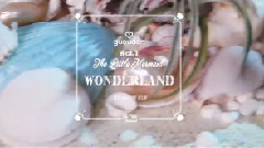 Wonderland