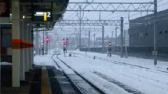 なごり雪 饭制版