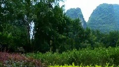 李志辉 - 阳朔美景画中游