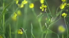 雨滴