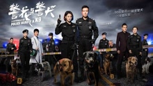 相信你，相信我 电视剧《警花与警犬》主题曲