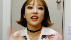 VLIVE 福冈演出得到了感动 HaNi cut