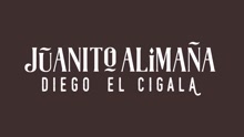 Diego El Cigala - Juanito Alimaña (Cover Audio)