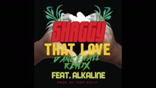 That Love (Dancehall Remix [Audio])