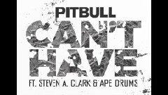 Pitbull - Can't Have