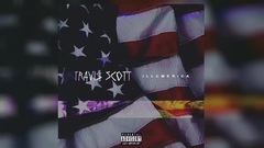 Travis Cottrell - ILLmeriCA