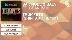 Sean Paul,Sak Noel - Trumpets (Shintaro Remix)