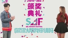 如何获得SAF票 中文版