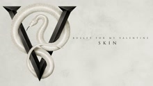 Skin (Audio)