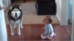 Dog Imitates Baby