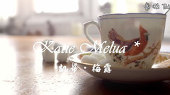 Katie Melua,音乐短片 - Perfect World