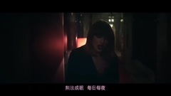 赞恩 ZAYN l 泰勒丝 Taylor Swift - 无爱不活 I Don't Wanna Live Forever(中文上字MV)