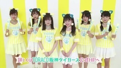 NMB48 可愛くタイガースを応援! TORACO!