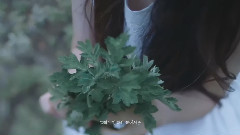 HeeJin(本月少女) X HANYUL韩律 纯天然艾草水分面霜 CF